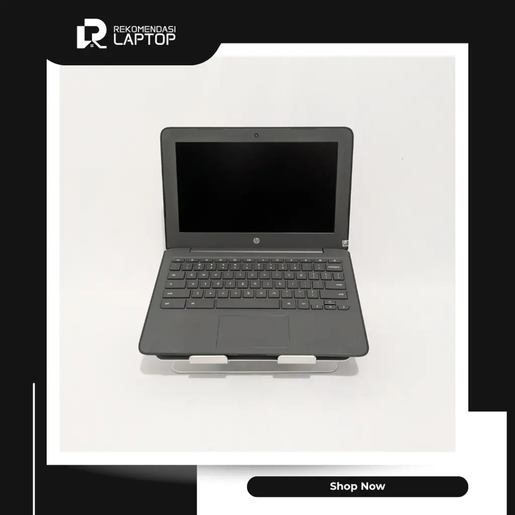 3.webp