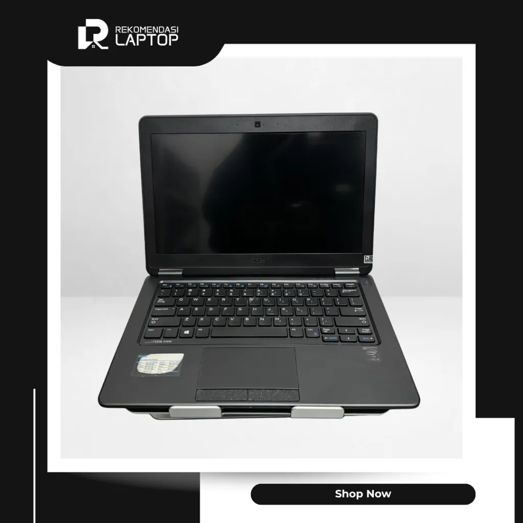 4.webp