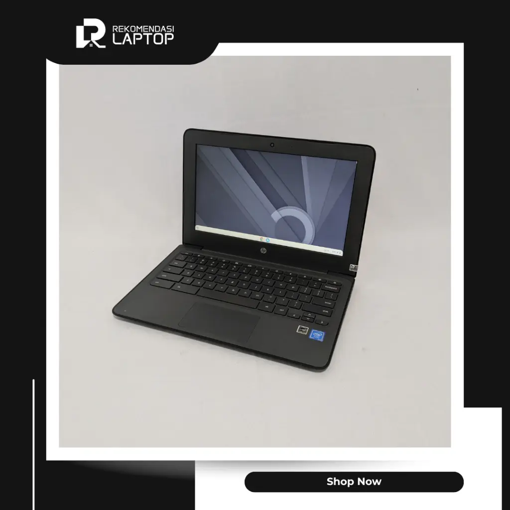 2.webp
