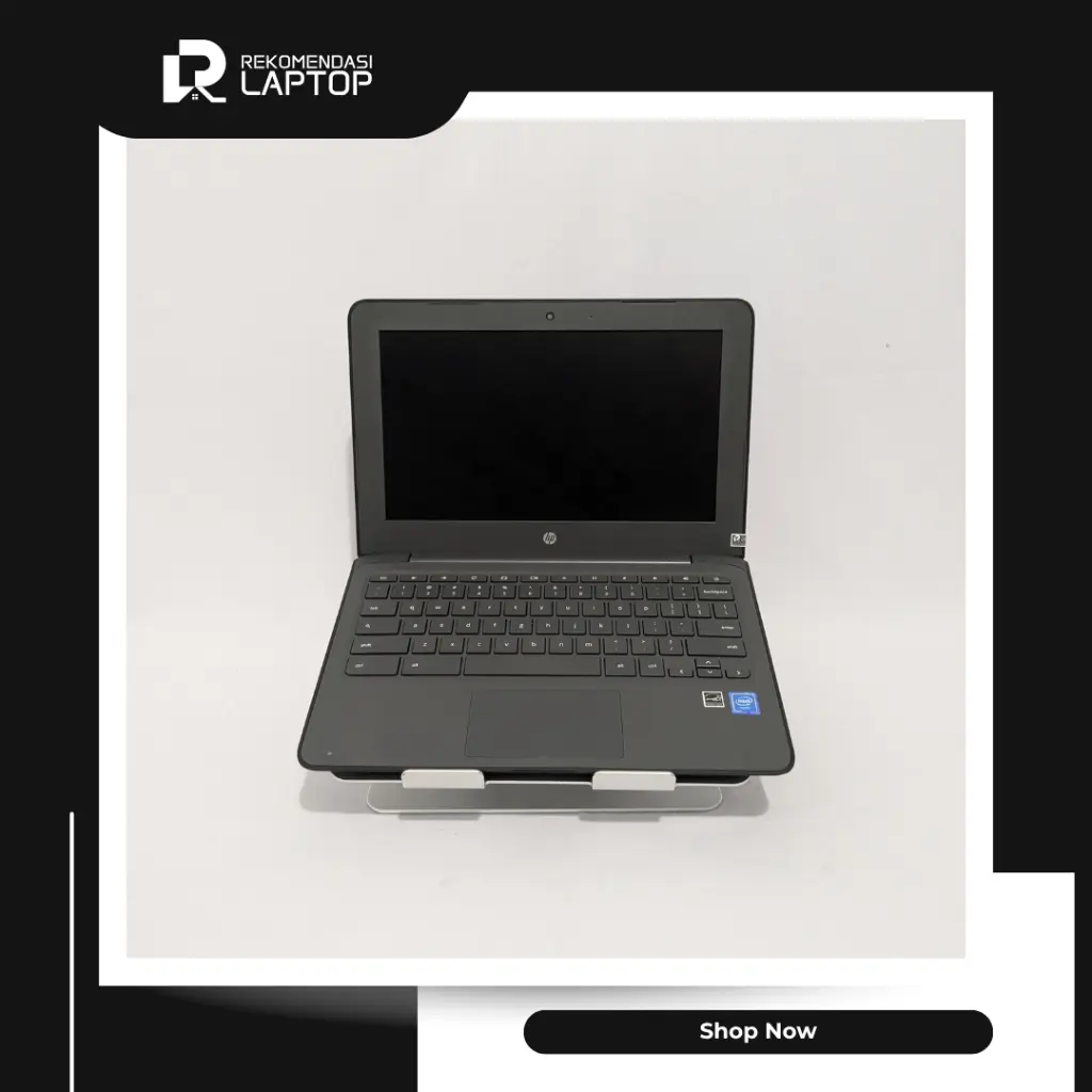 3.webp