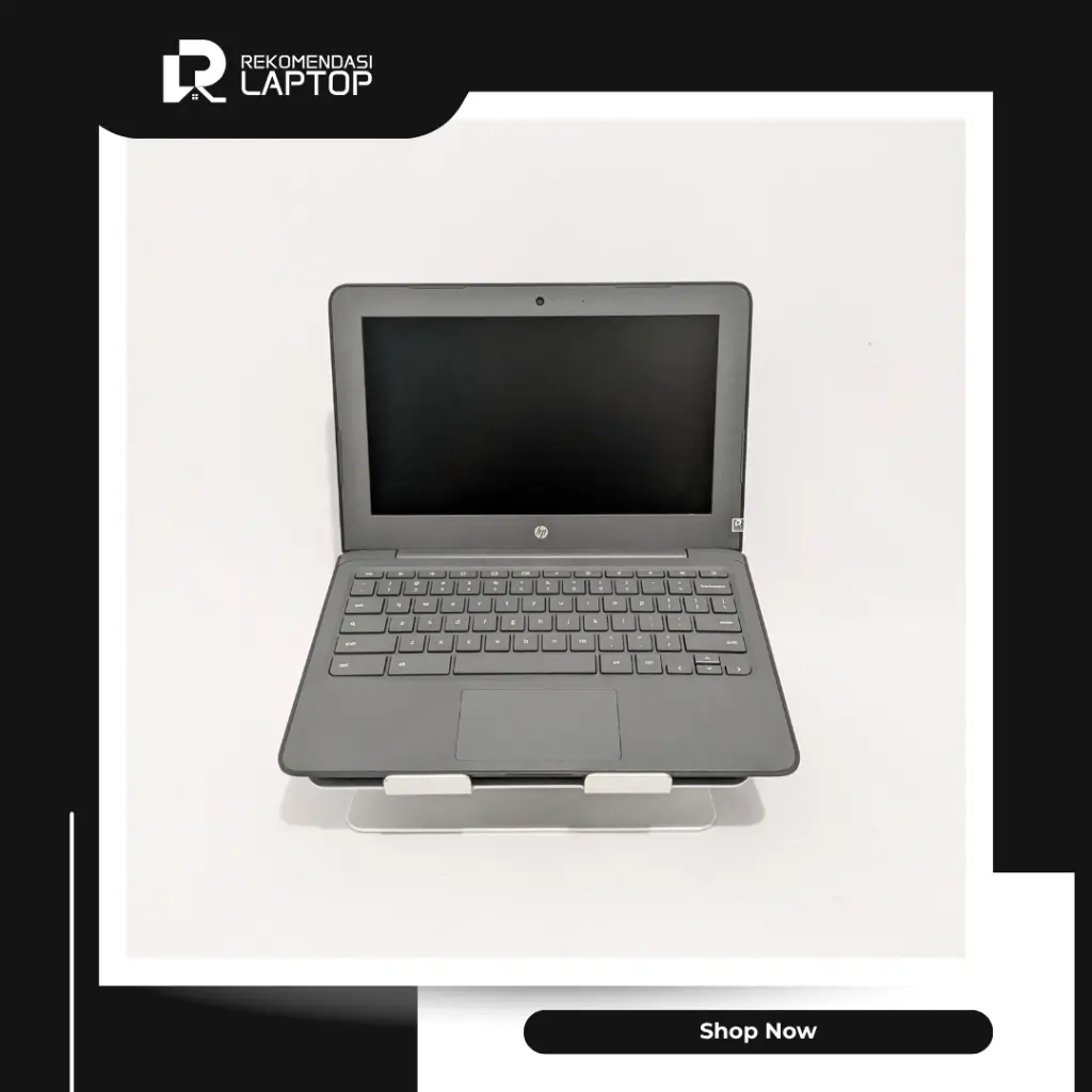 3.webp