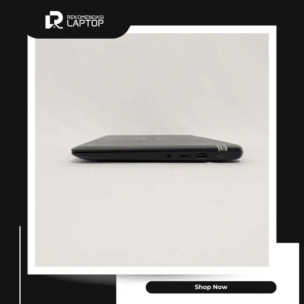 5.webp