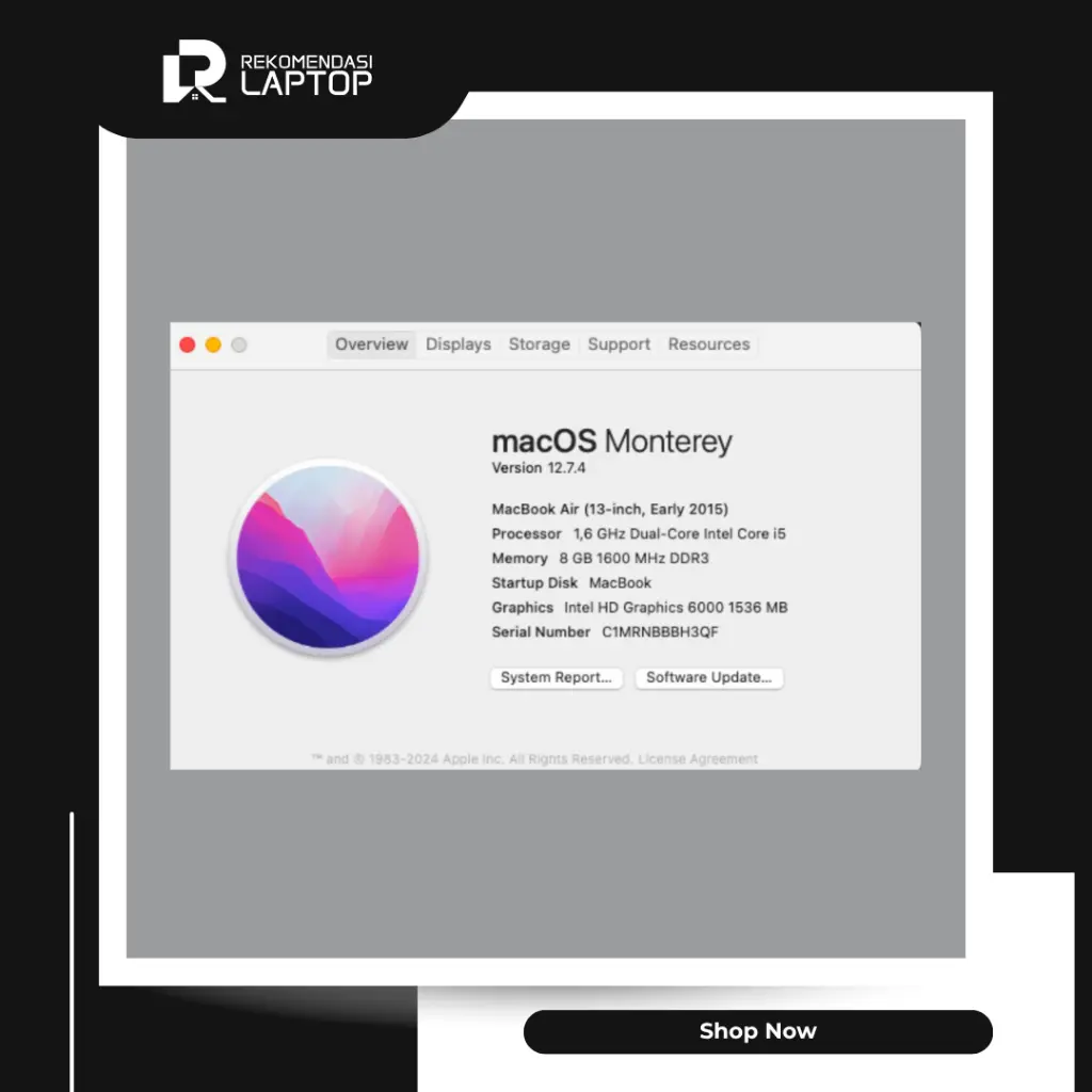 7.webp