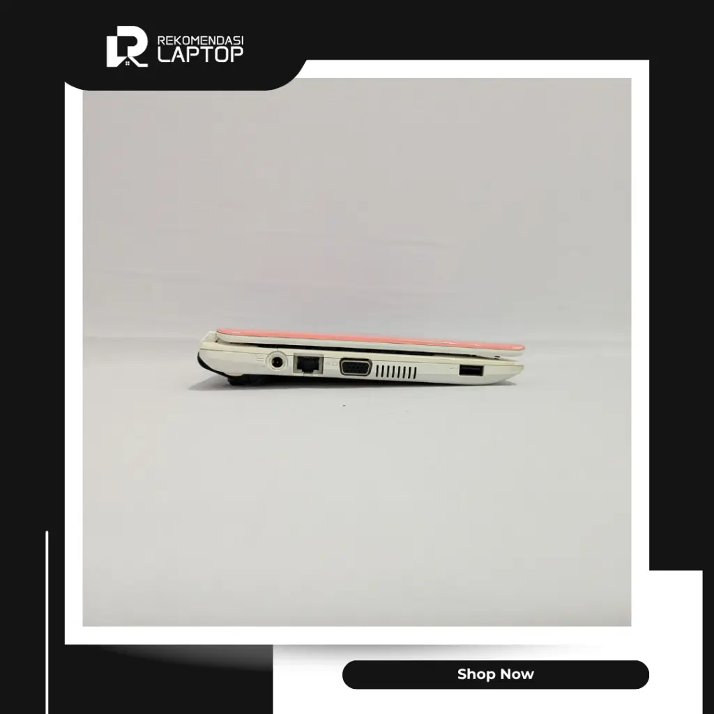 5.webp