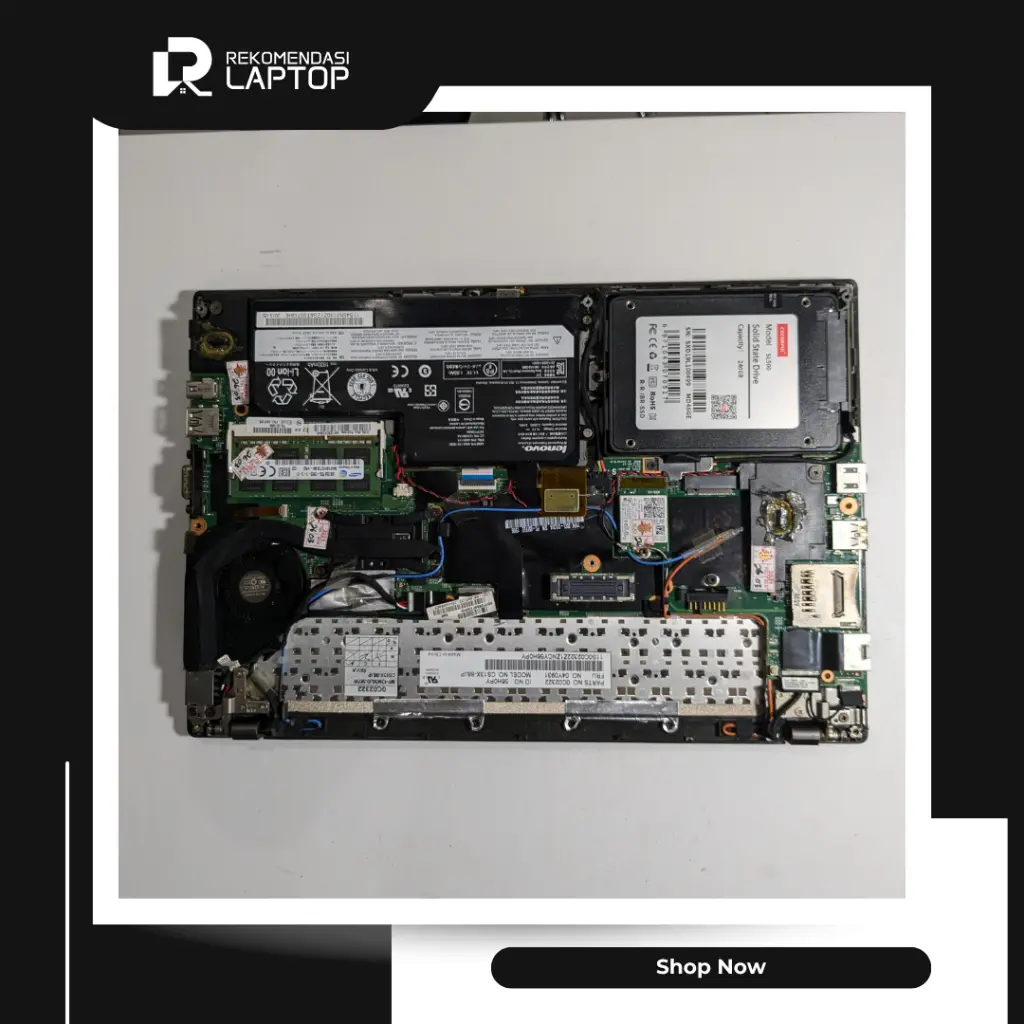 8.webp