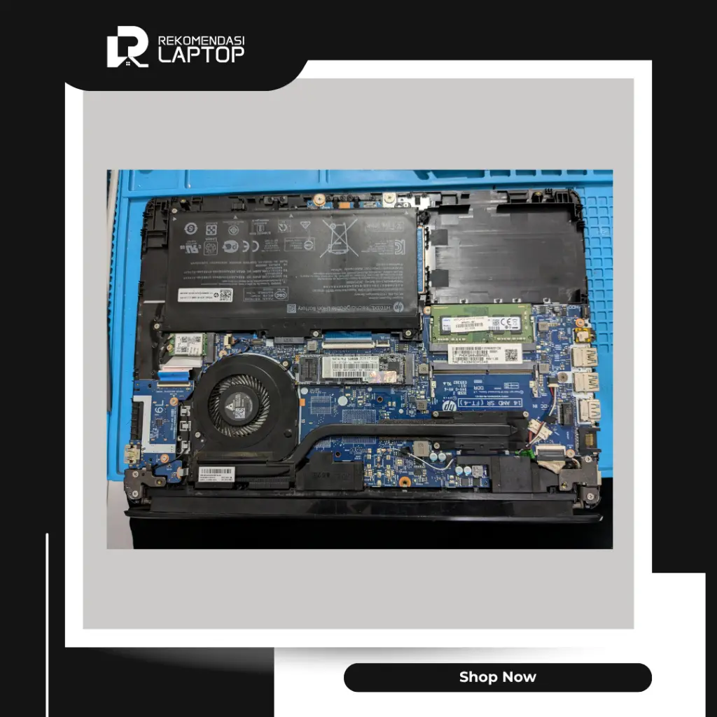 8.webp