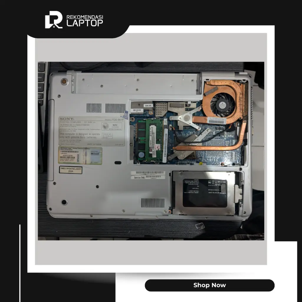 8.webp