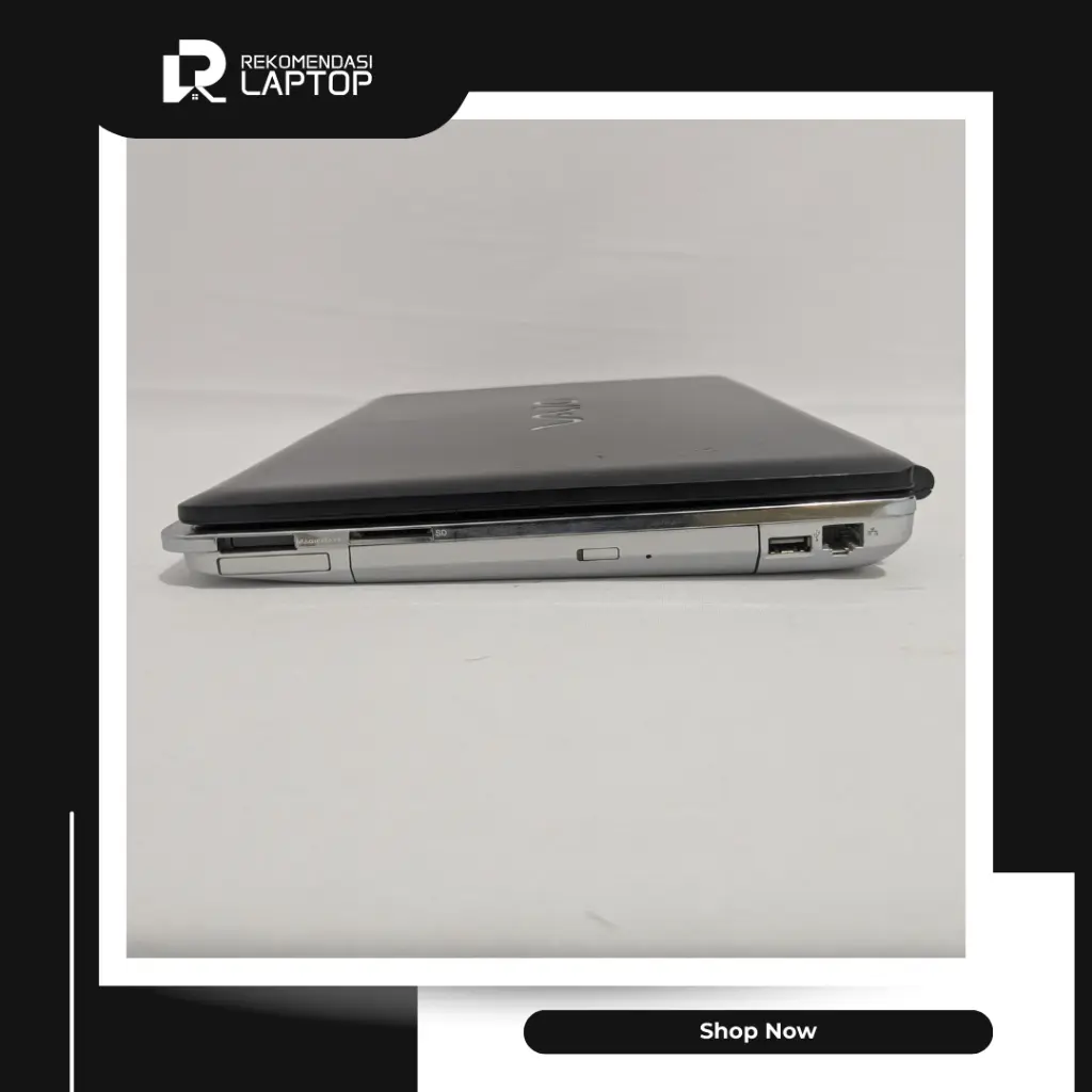 5.webp