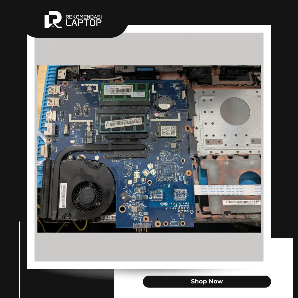8.webp