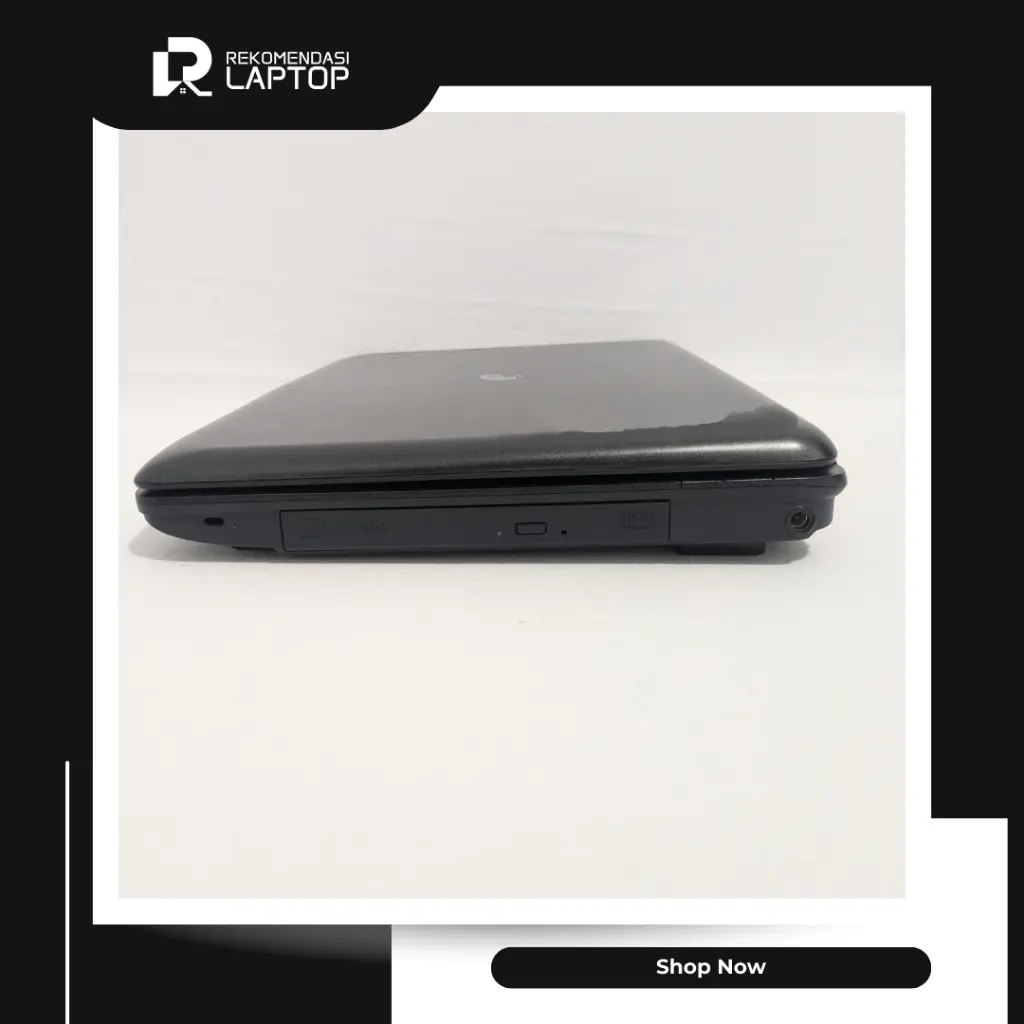 5.webp