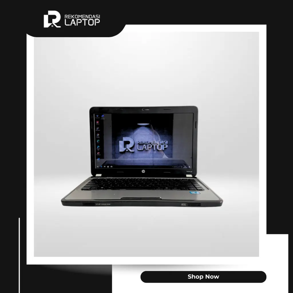 6.webp