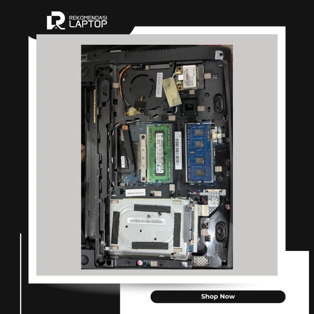 8.webp