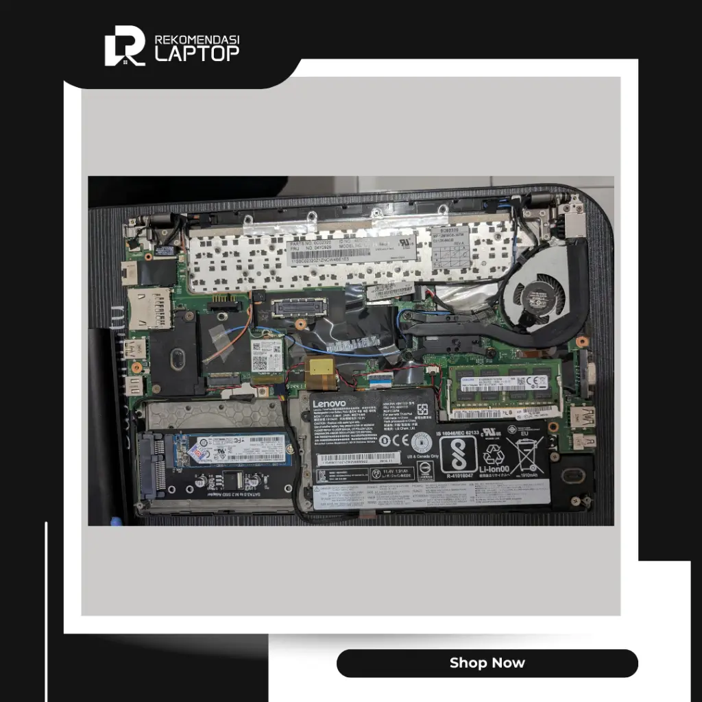 8.webp
