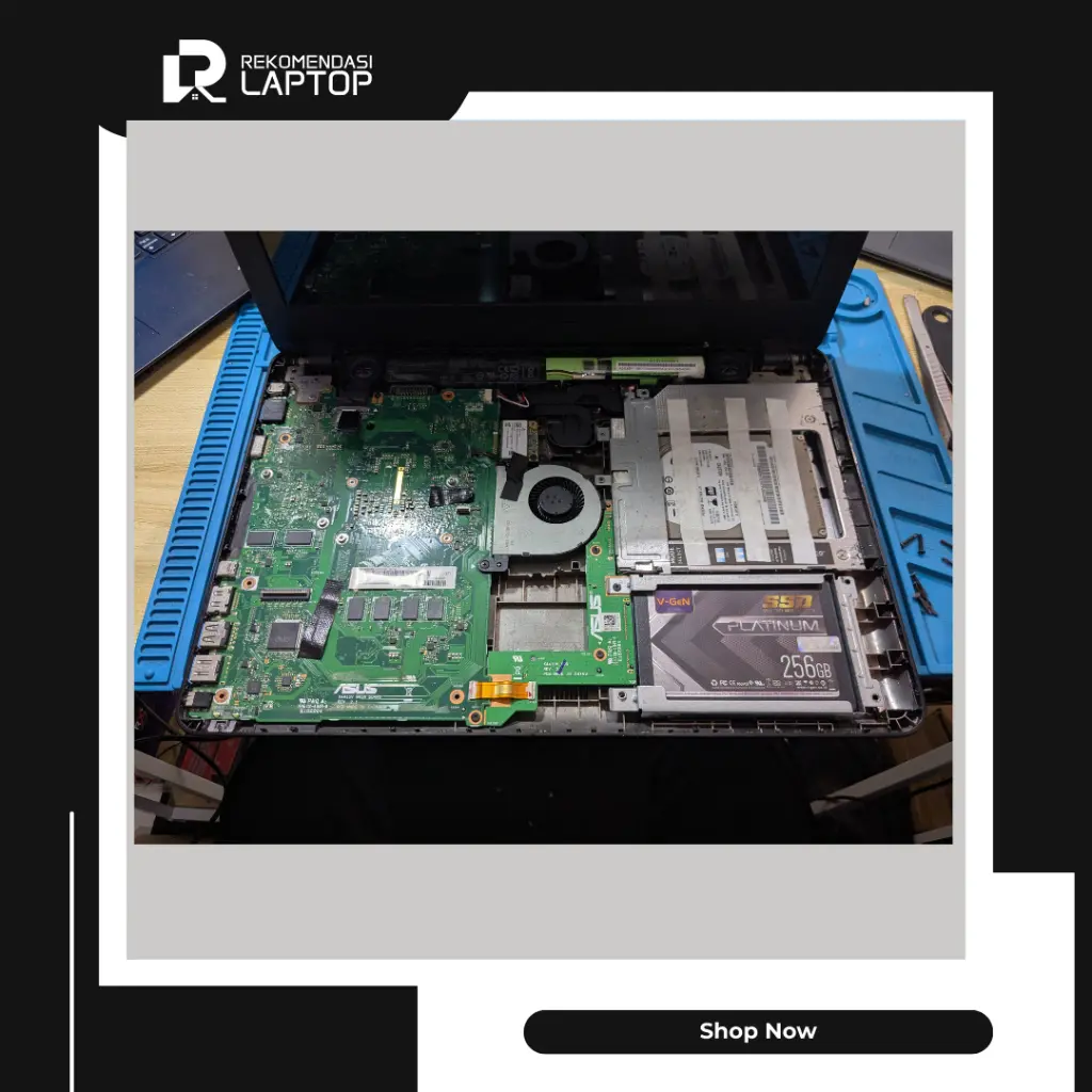 8.webp
