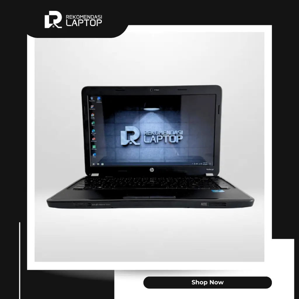 7.webp