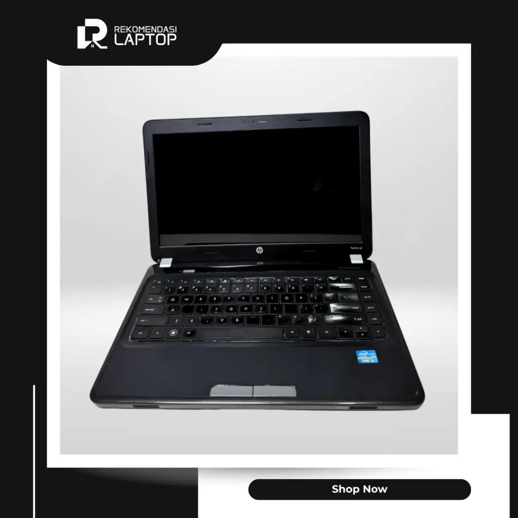 3.webp