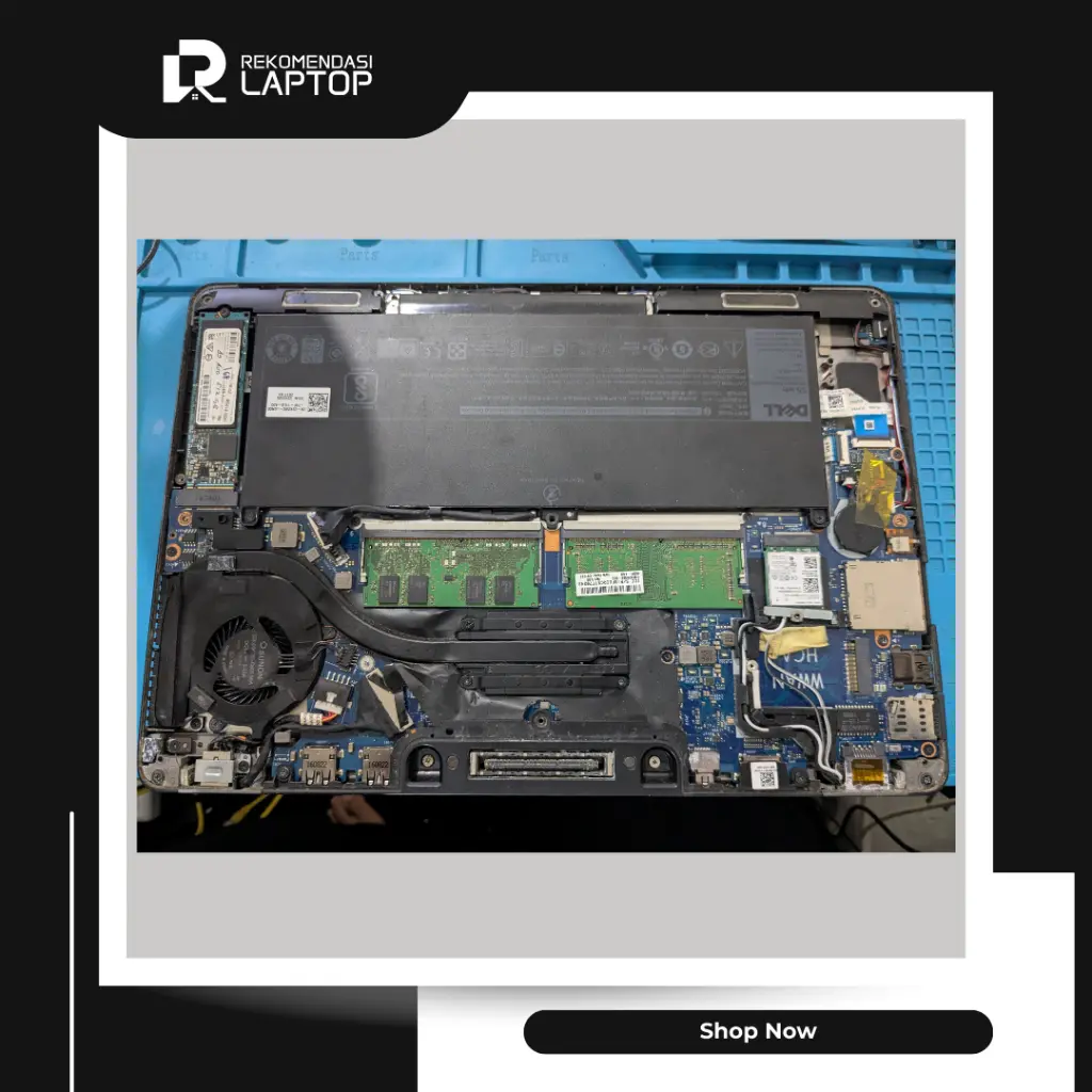 8.webp