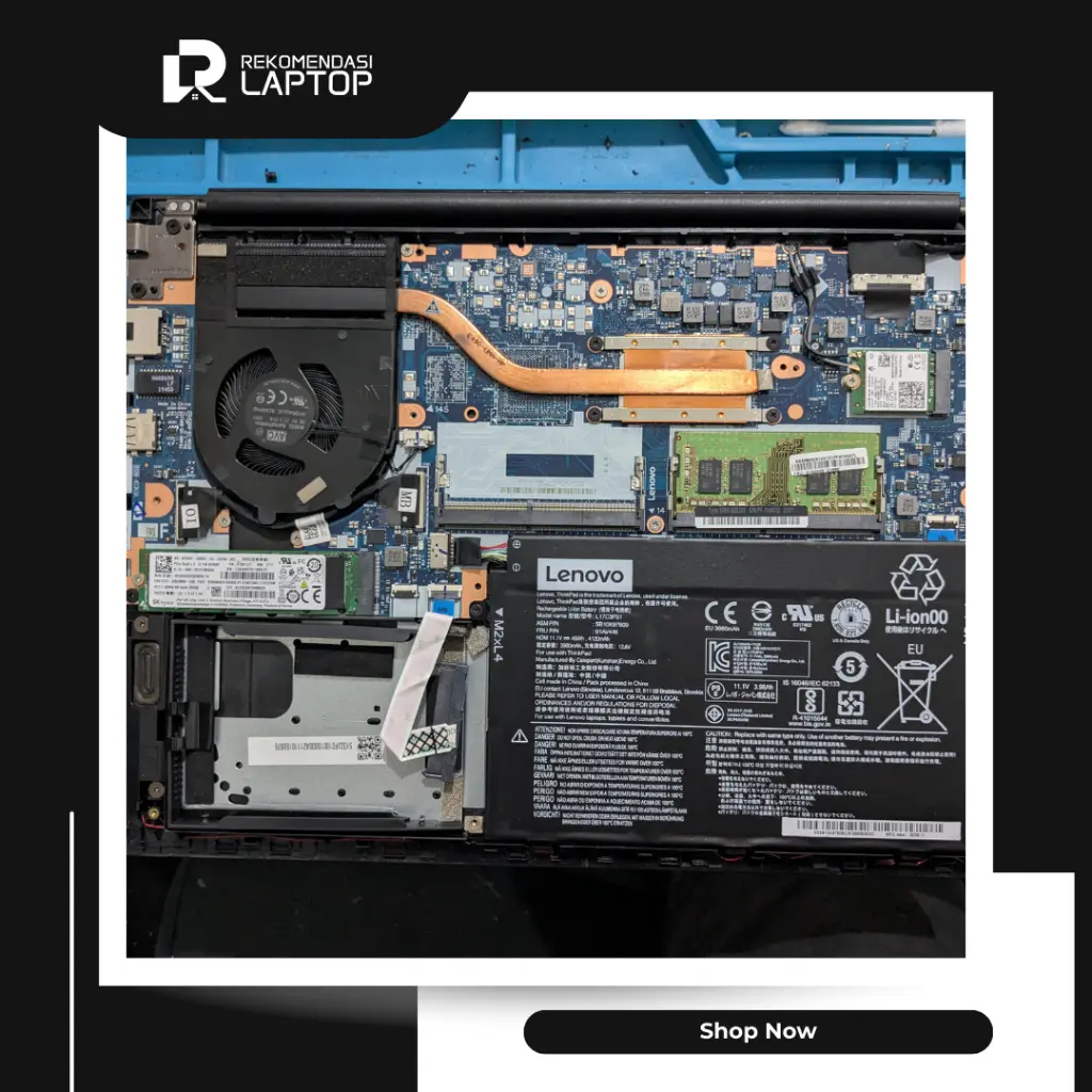 10.webp