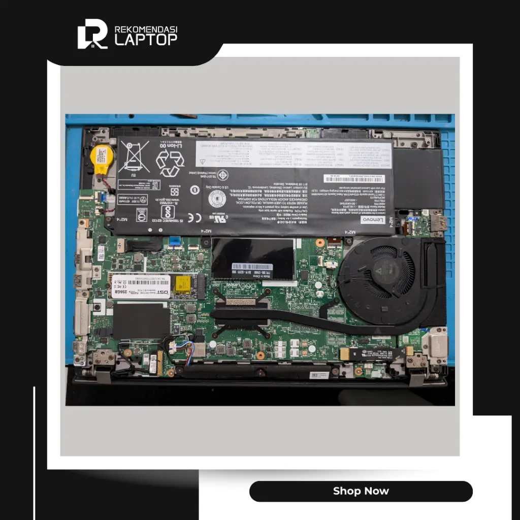 10.webp