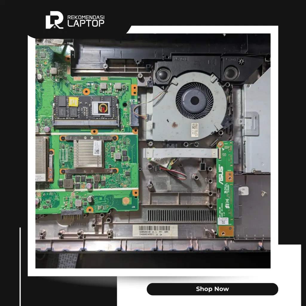 11.webp