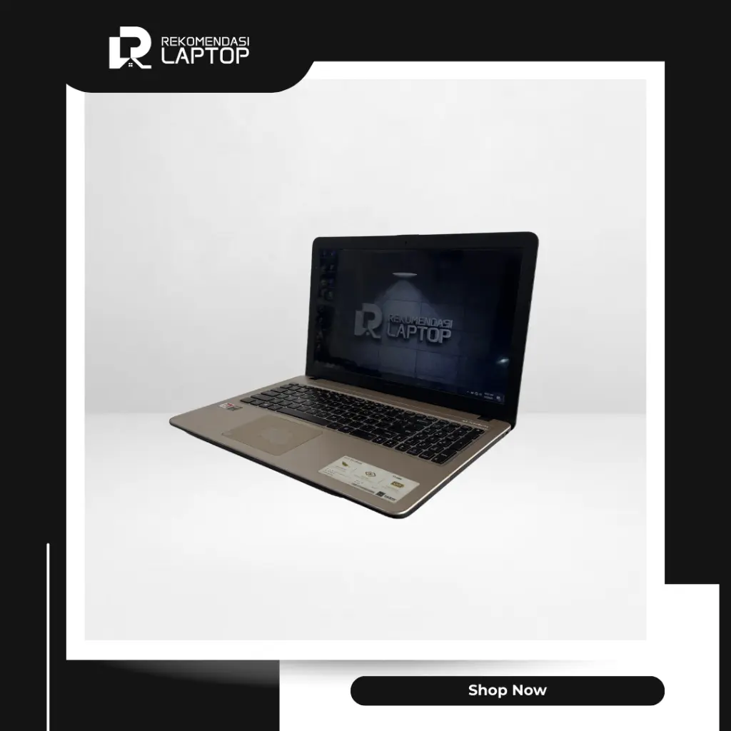 7.webp