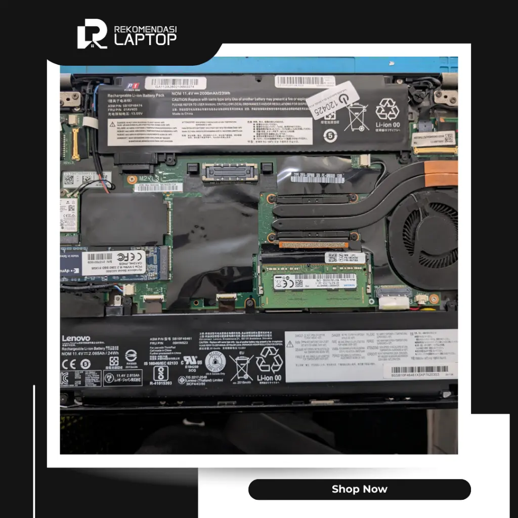 10.webp