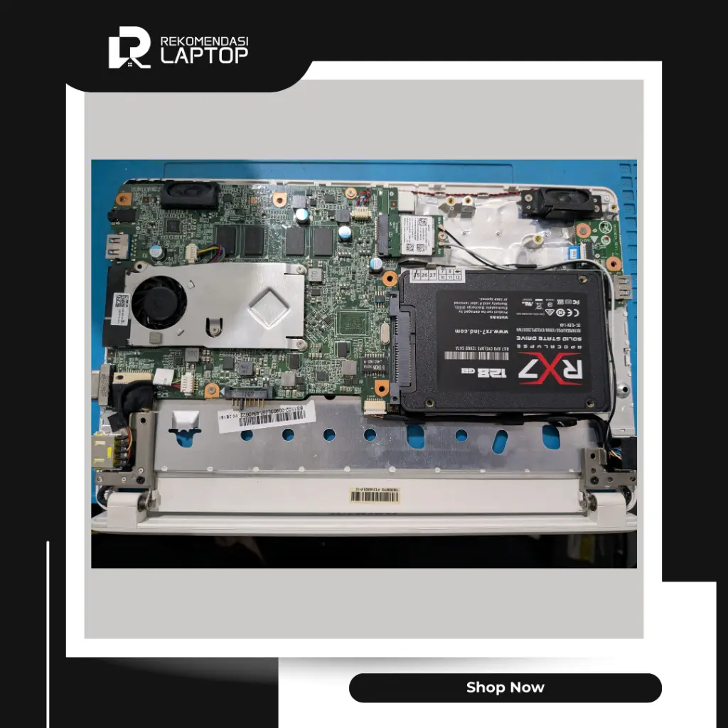 9.webp