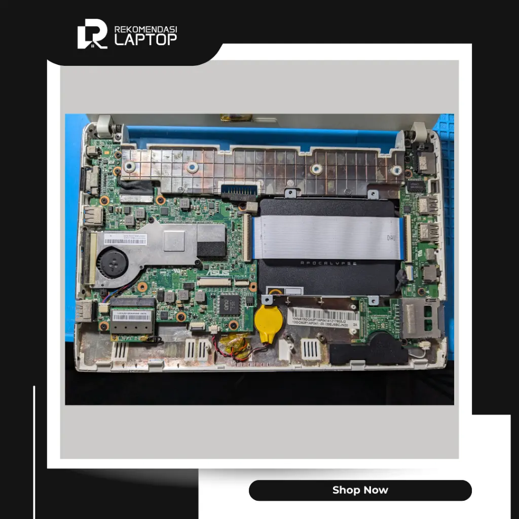 9.webp