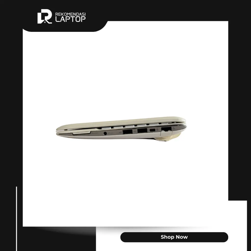 5.webp