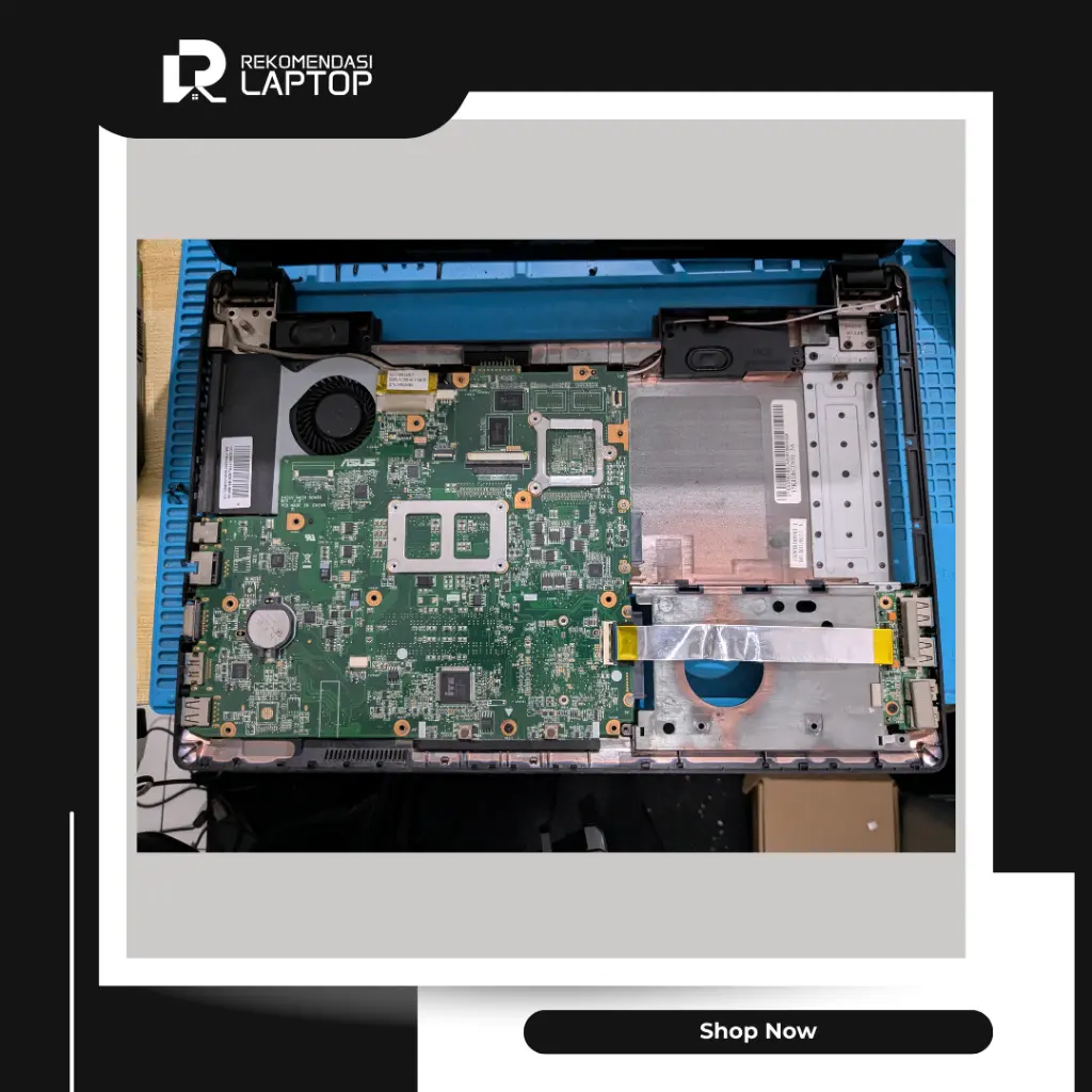 9.webp