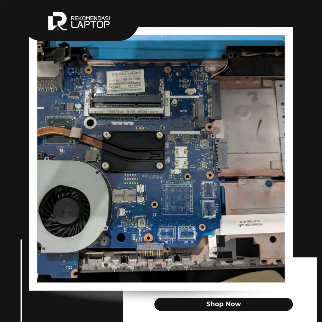 10.webp