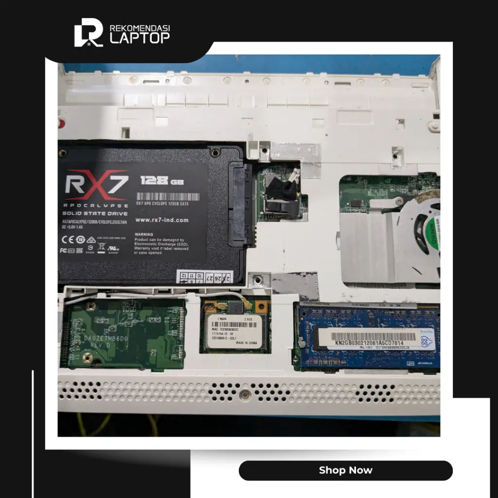 10.webp