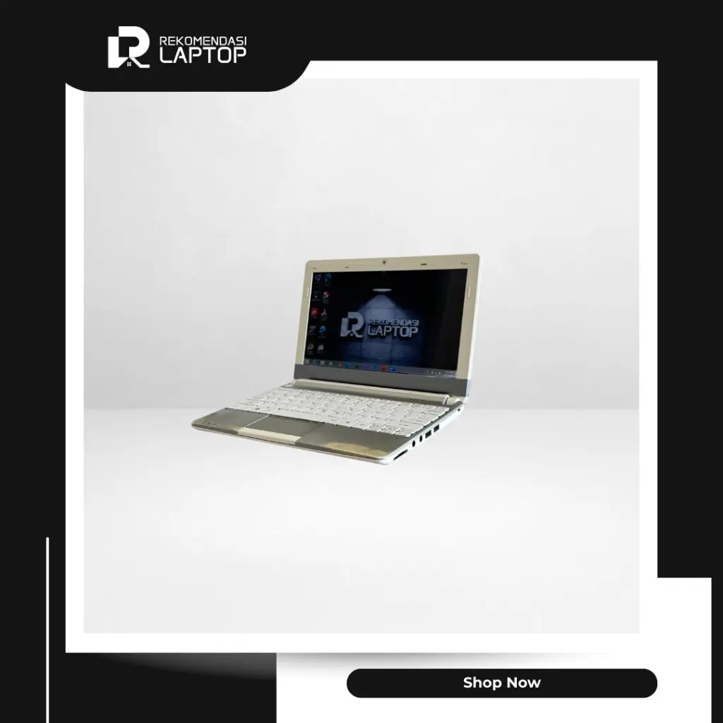 7.webp