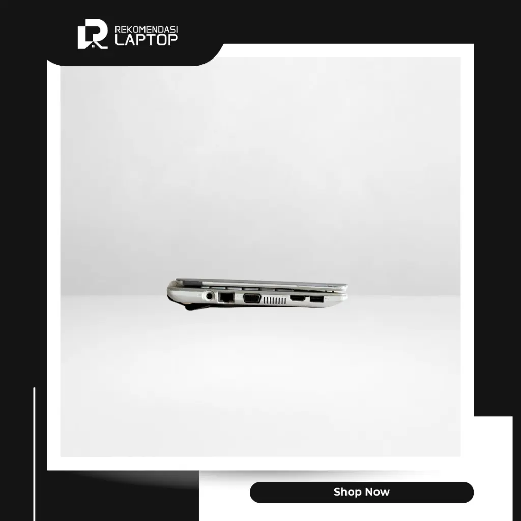 5.webp