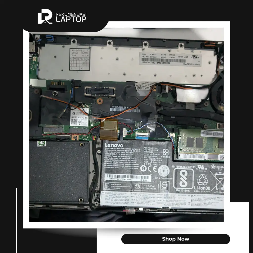11.webp