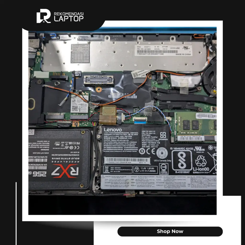 10.webp