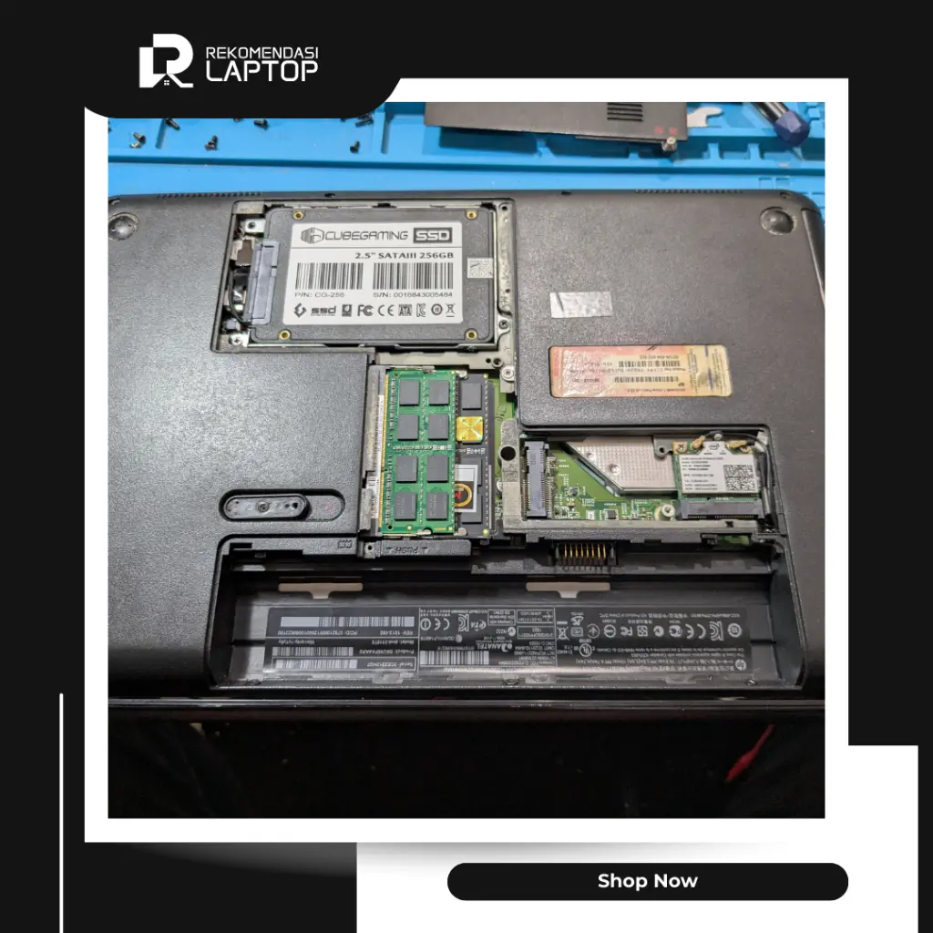 11.webp