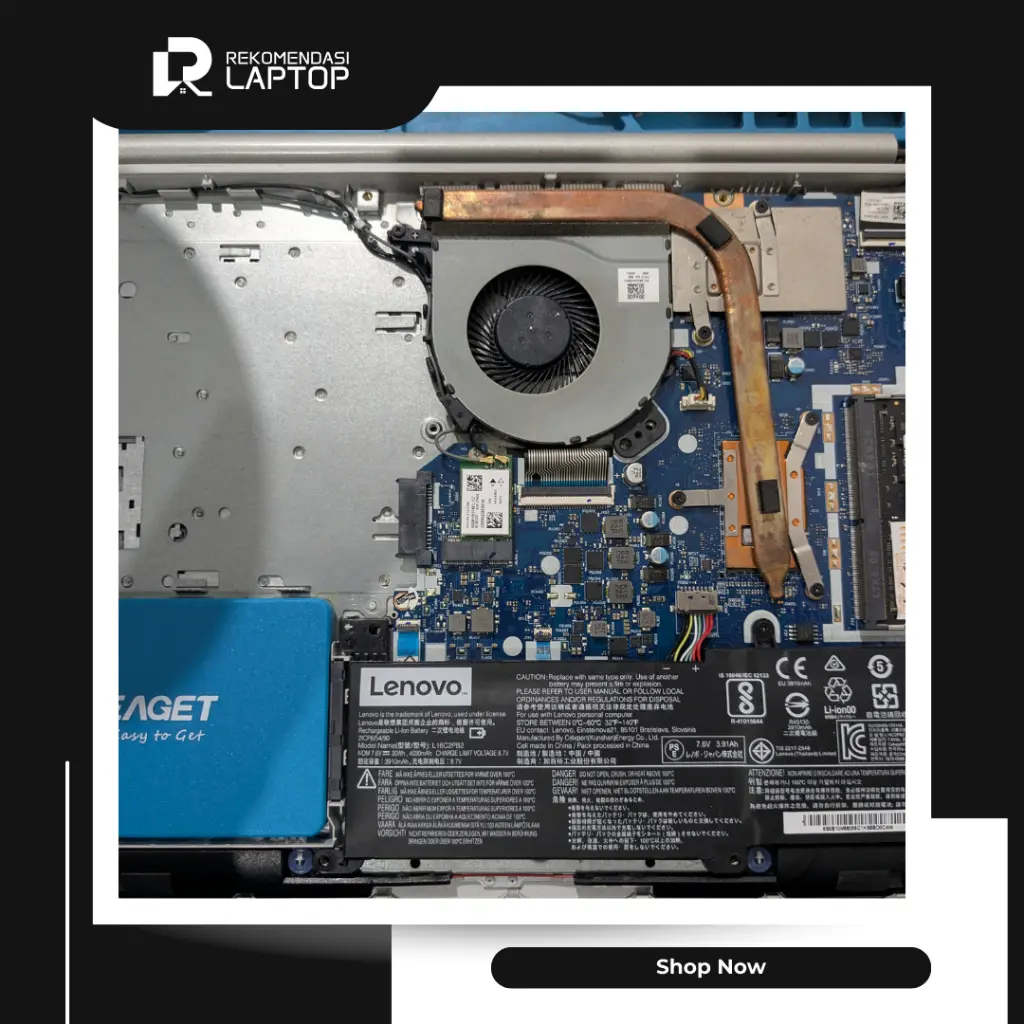 11.webp