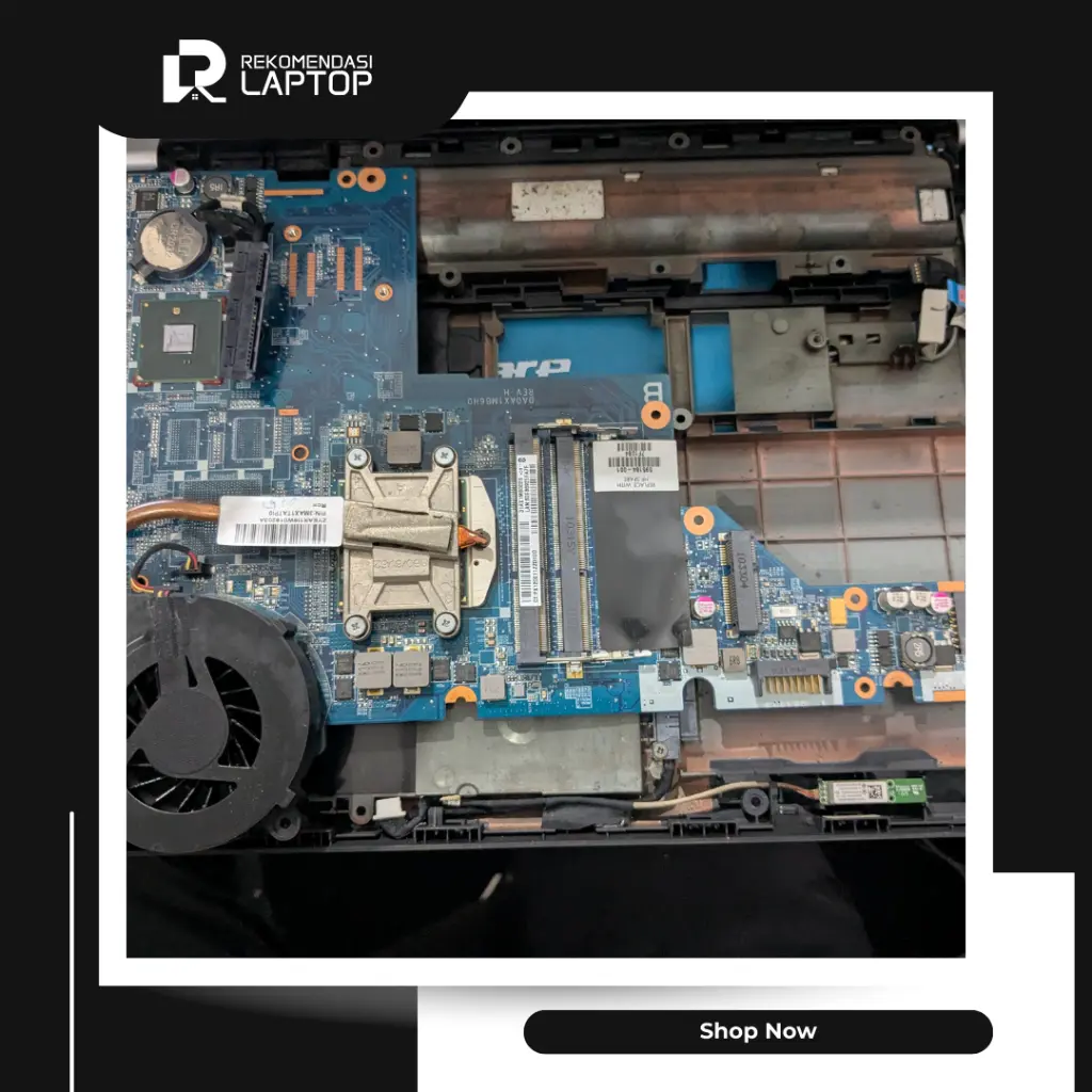 10.webp