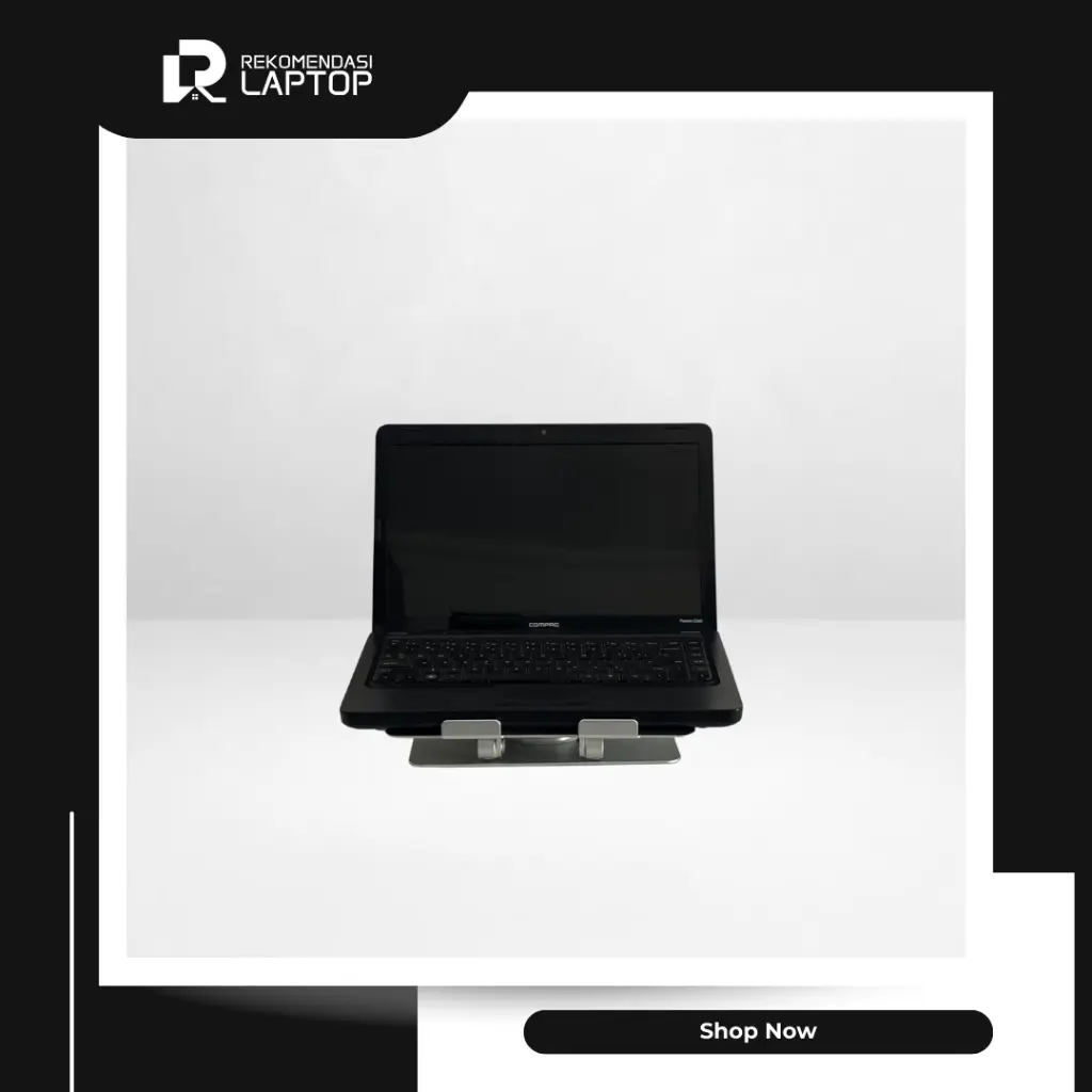 4.webp