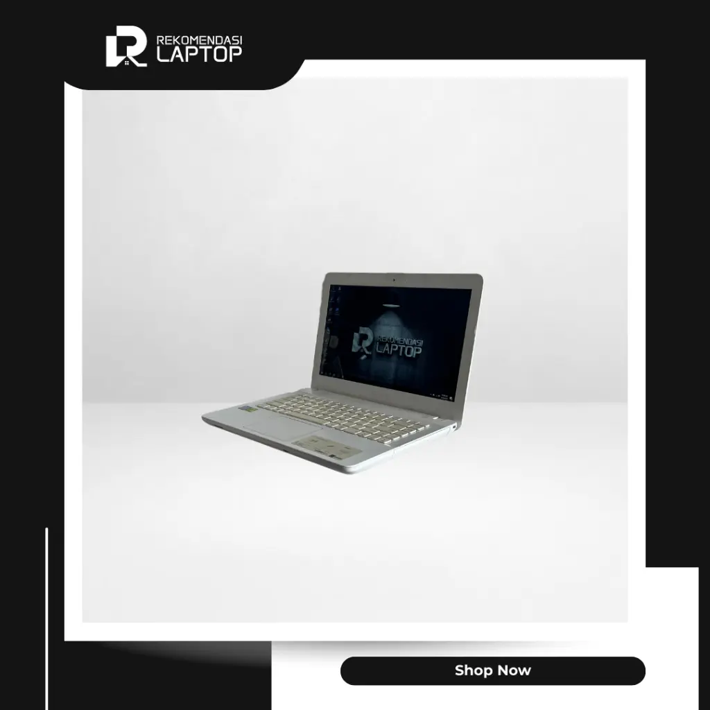 5.webp