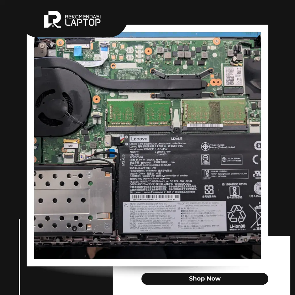 10.webp