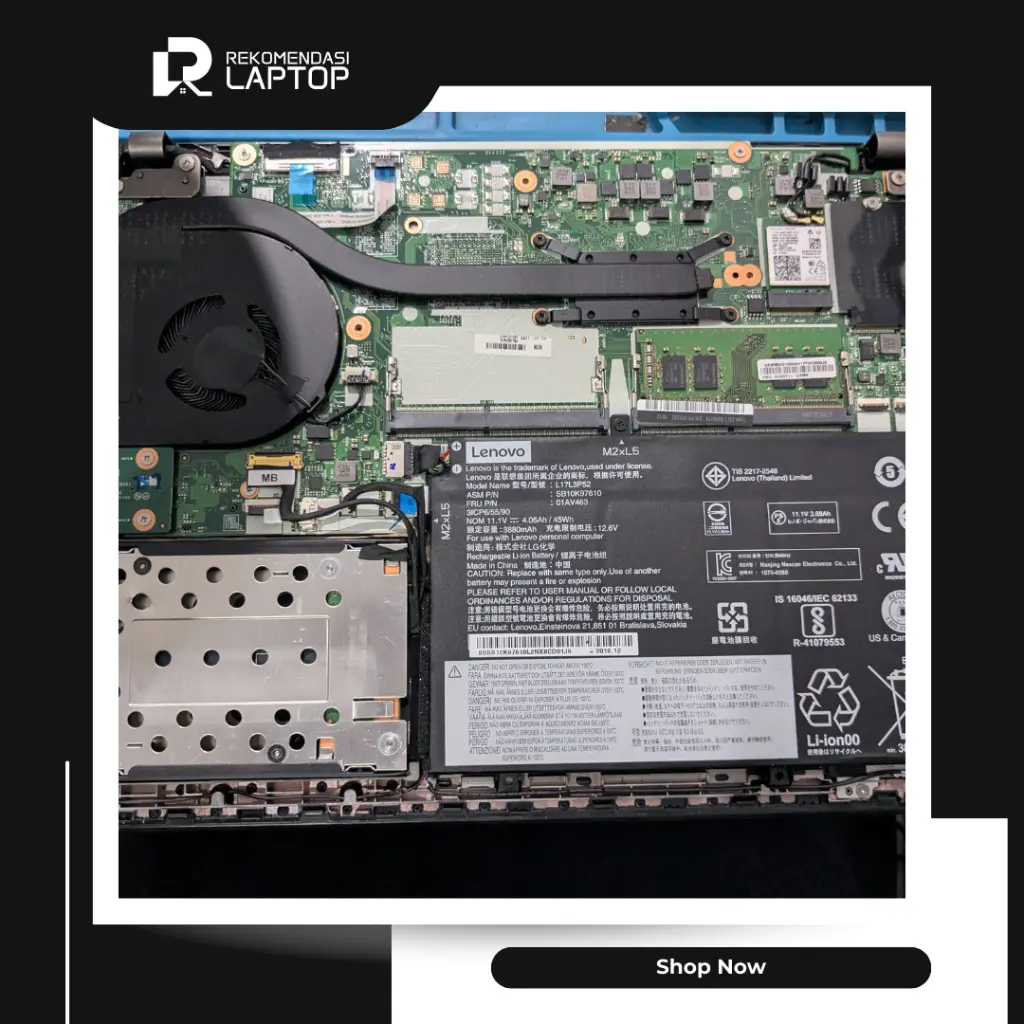 10.webp