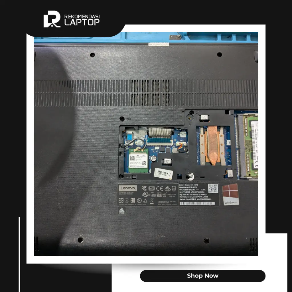 10.webp